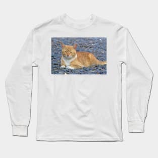 Kitty Friend Long Sleeve T-Shirt